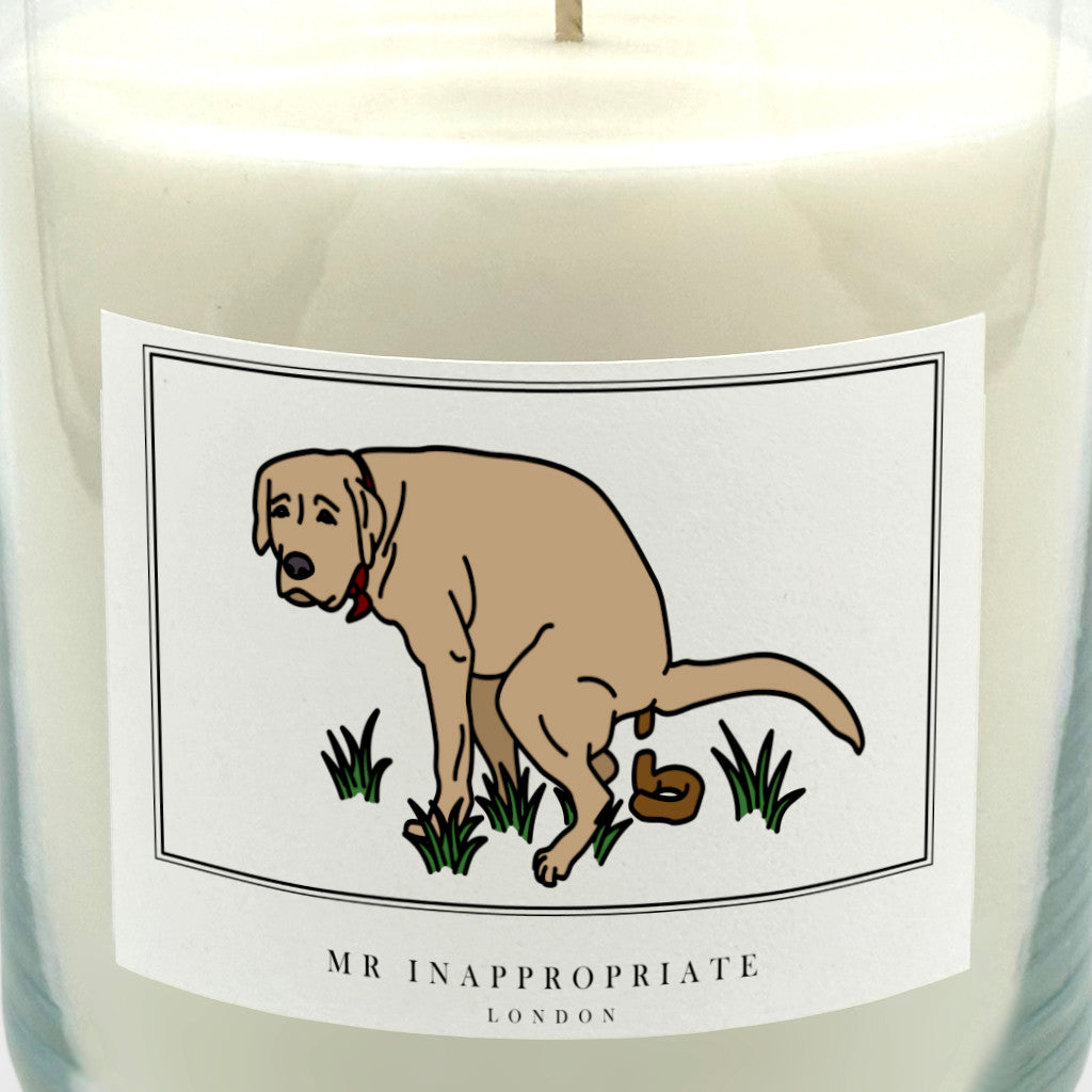 Large Candle - Dog