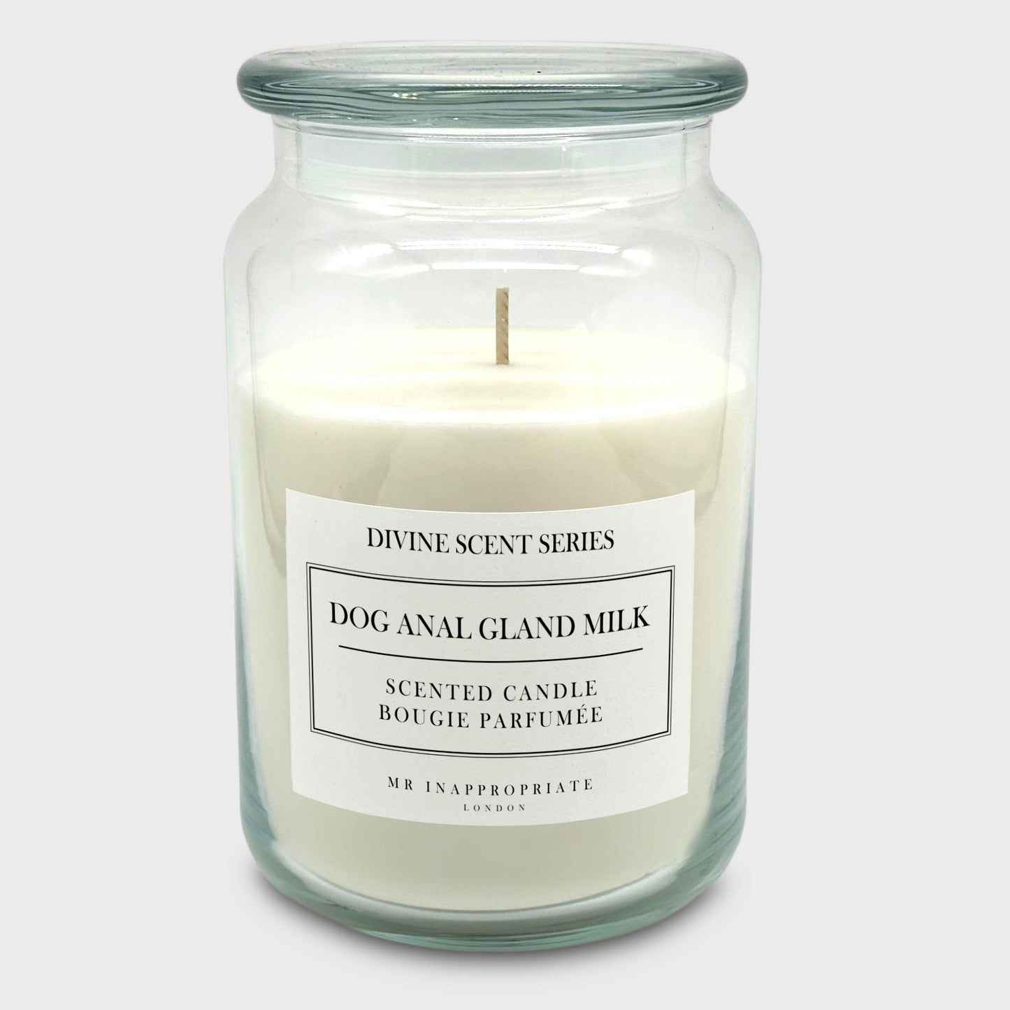 Large Candle - Dog Anal Gland Milk