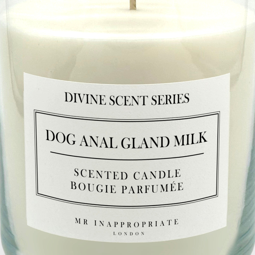 Large Candle - Dog Anal Gland Milk