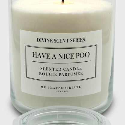 Large Candle - Have A Nice Poo