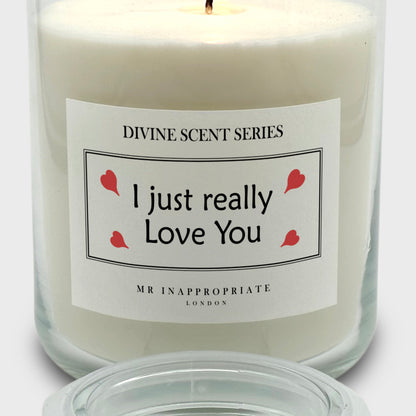 Valentine's Anniversary Large Candle - I Just Really Love You