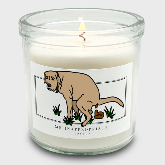 Medium Candle - Dog