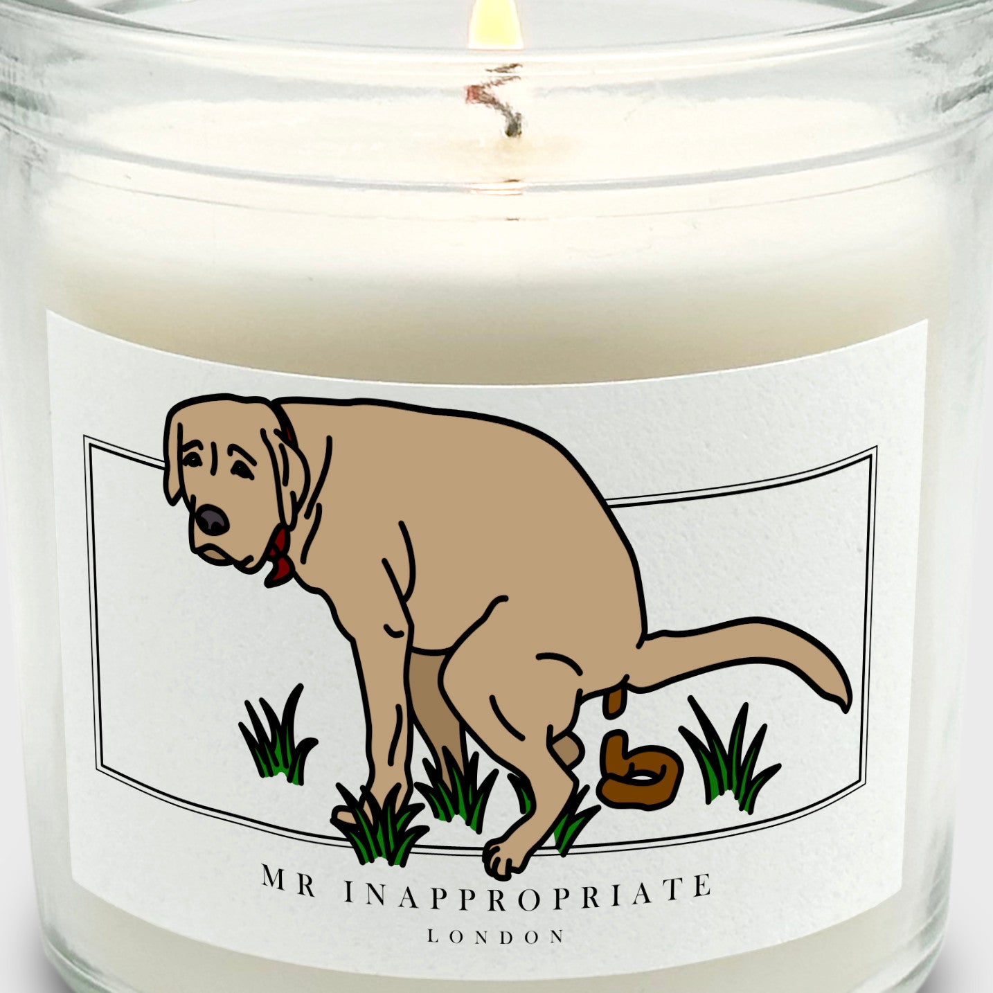 Medium Candle - Dog