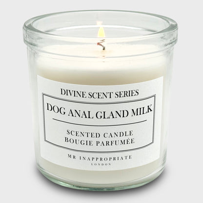 Medium Candle - Dog Anal Gland Milk