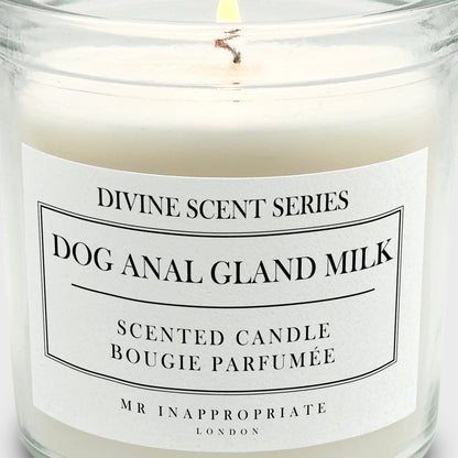 Medium Candle - Dog Anal Gland Milk