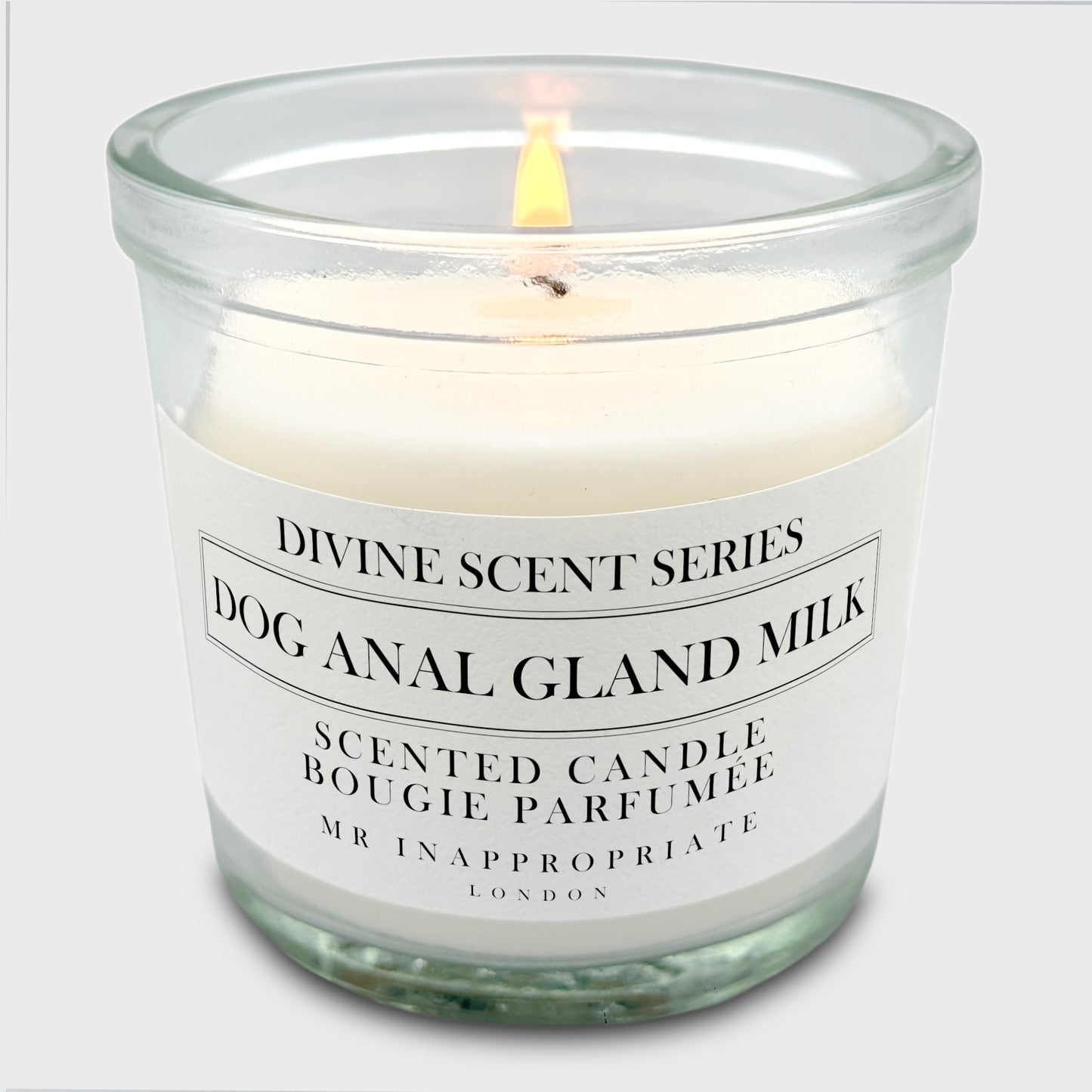 Small Candle - Dog Anal Gland Milk