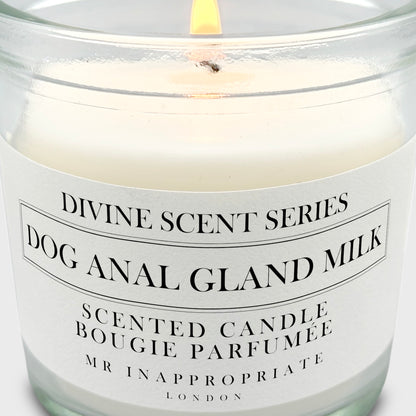 Small Candle - Dog Anal Gland Milk