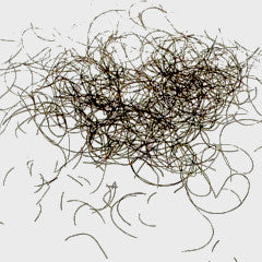 Confetti - Pubes