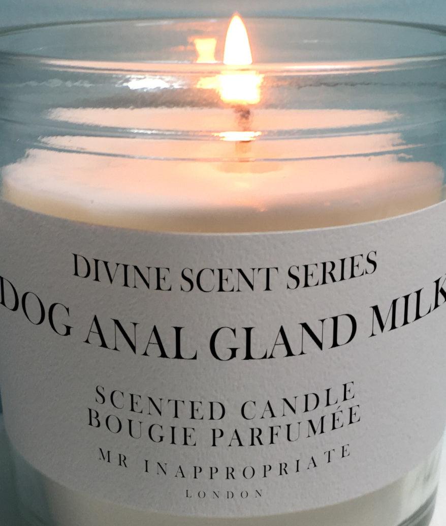 Candle - Anal Gland Milk - Mr. Inappropriate 