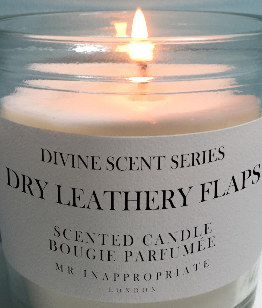 Candle - Dry Leathery Flaps - Mr. Inappropriate 