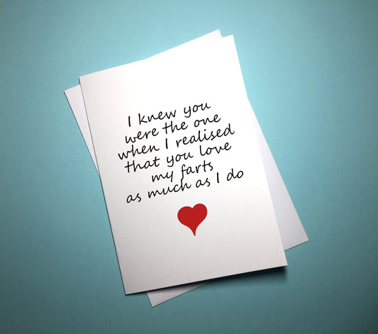 Valentine's Anniversary Card - The One - Mr. Inappropriate 